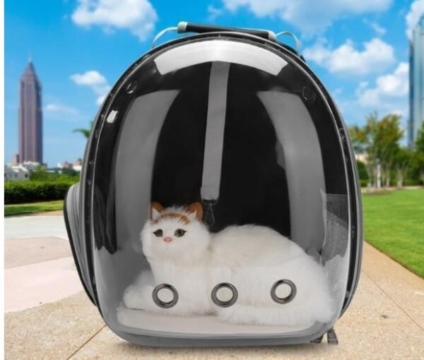 Cat Bag Full Transparent Pet Space Bag - Image 3